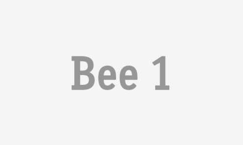 Bee 1